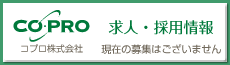 ���l�E�̗p���